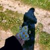 ani___sa18