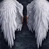 7ashygmail