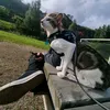 odin_zelda