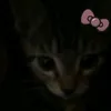 anastasi_413