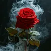 Magia do Axé 🌹