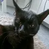 wtf..___