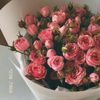 hamidi__manel