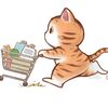 Shopaholic