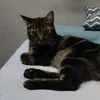 tmfkgmaria