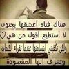 mohamedsaed4440