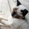 ivamarcarlos08