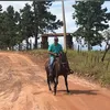 sergiovidal025