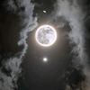 daliamohamed8203dalia