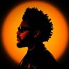 the_cool_guy_next_door20