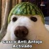 ricardo_6562