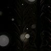 mydarkworld5600
