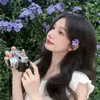 xuanque_0202