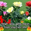 santoshchaudhary3870