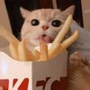 i.lovefries