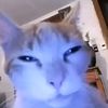 jasperlee146