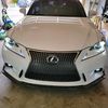 tomtrinh660