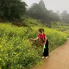 hoangthithuy085