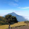 berkah_dotcom