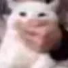 nvhoangggggg