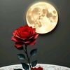 jamal__nusrat