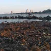 mabongdem120598