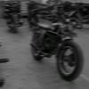 stive4567