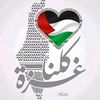 mohamedibrahim6932