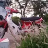 dreamii292