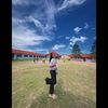 devysiregar112