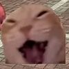 rendiwij