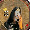 shati3350