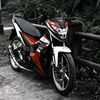 sonicdolphin57