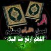 alimohamad1023