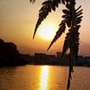 mak_yang25