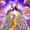 suresh.kuwait36
