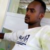 tofiqrayya1