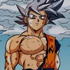 kakarotto™