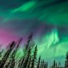nicoleflockhart27
