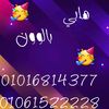 haneen1972gmail.com