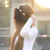 dytk5sexp497