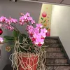thuongnguyen_.24
