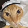 menoobsad