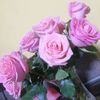 marita_a.m