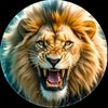 rafaqatali7764