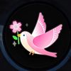 تغريدات مُسلم🖤🕊️