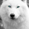 beautiful_ofthe_universe