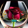 user4135780fofana