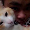 honey.meow.meow