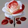 arif590657